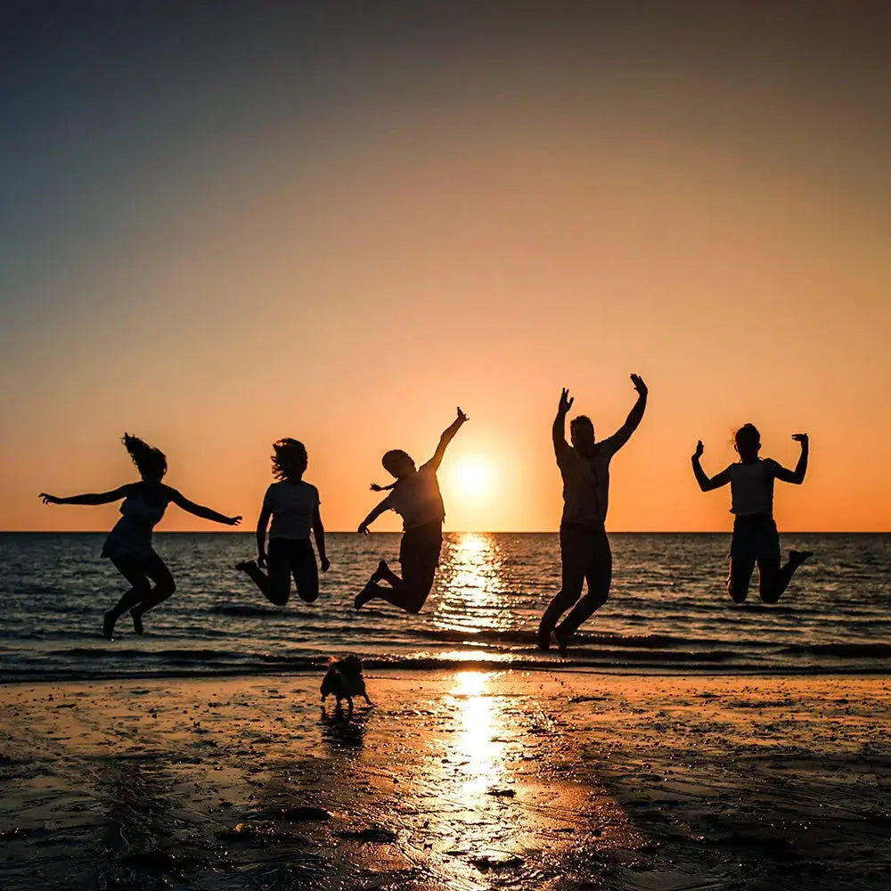 Playful & Carefree Velanyx