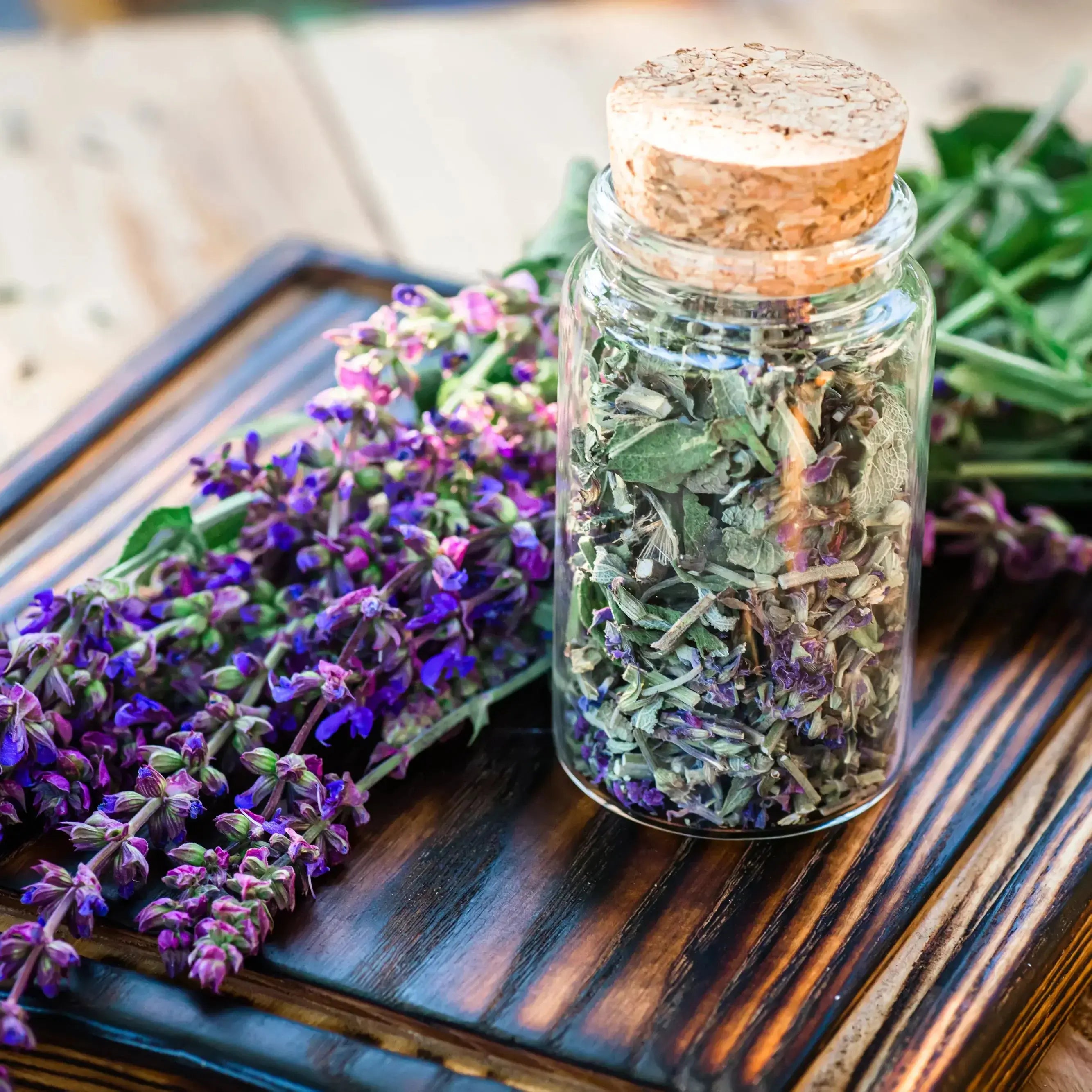 Herbal